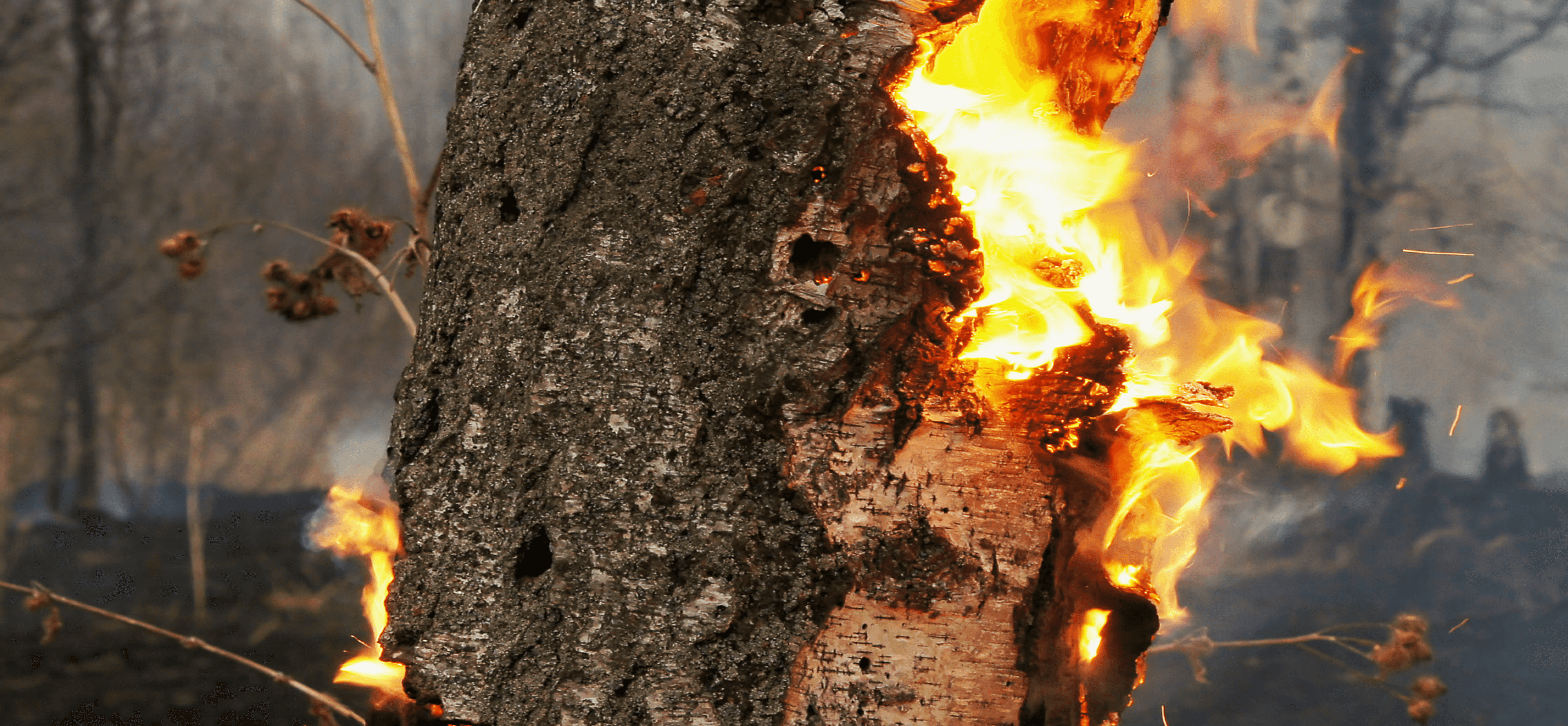 Fire-Prevention-HomeHero.png