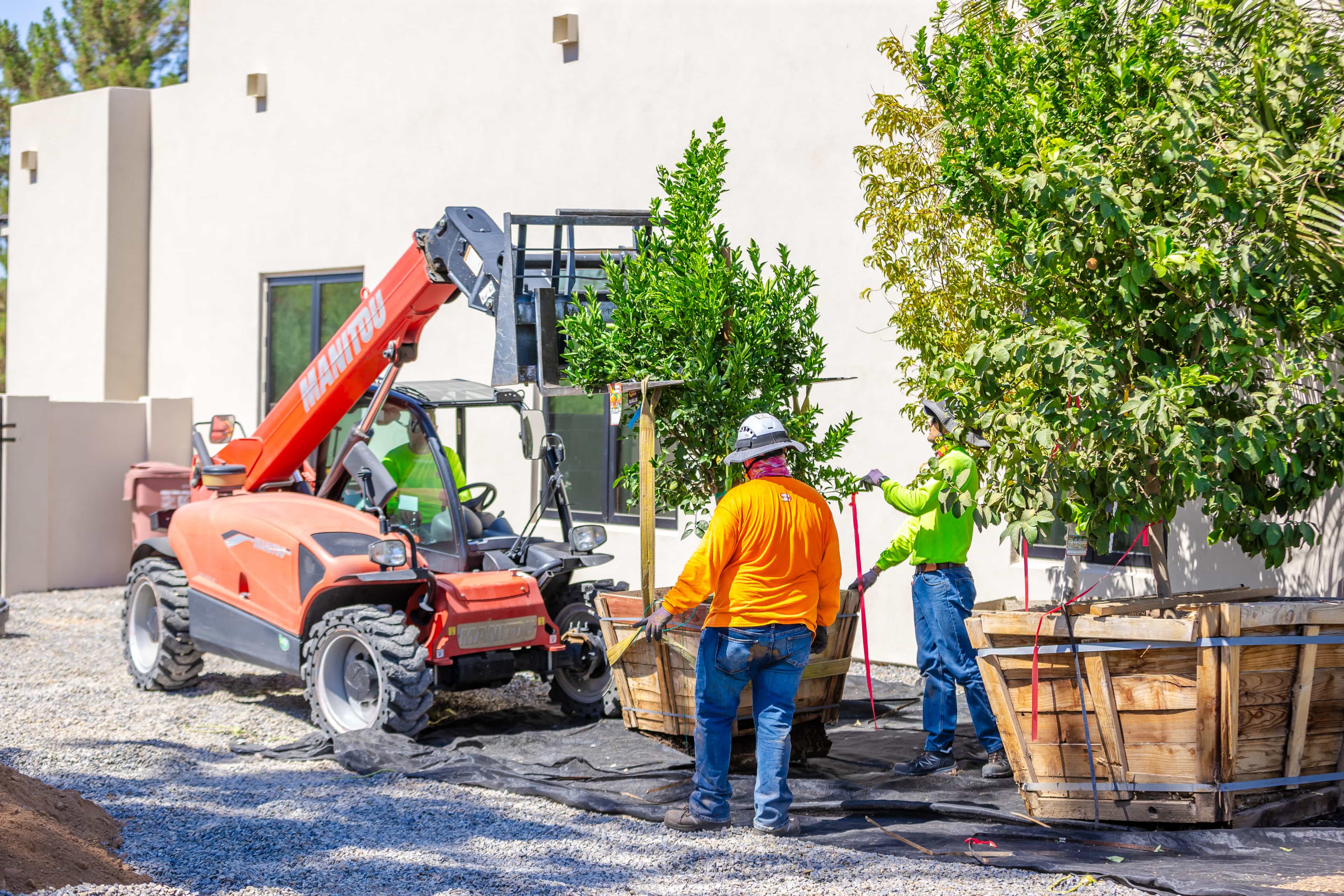 Small Forklift and planting crew members planting several trees.