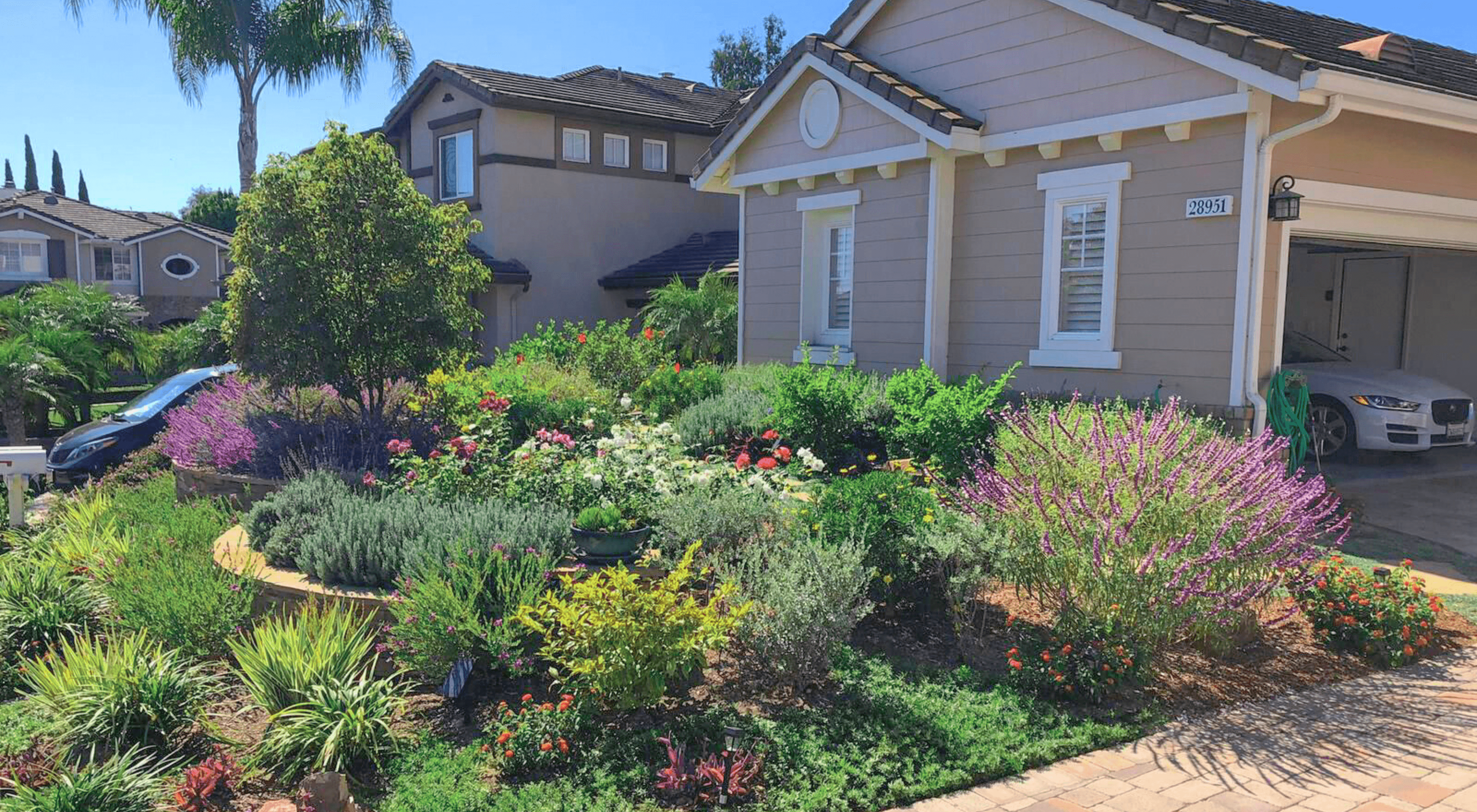 After Front Yard Transformation