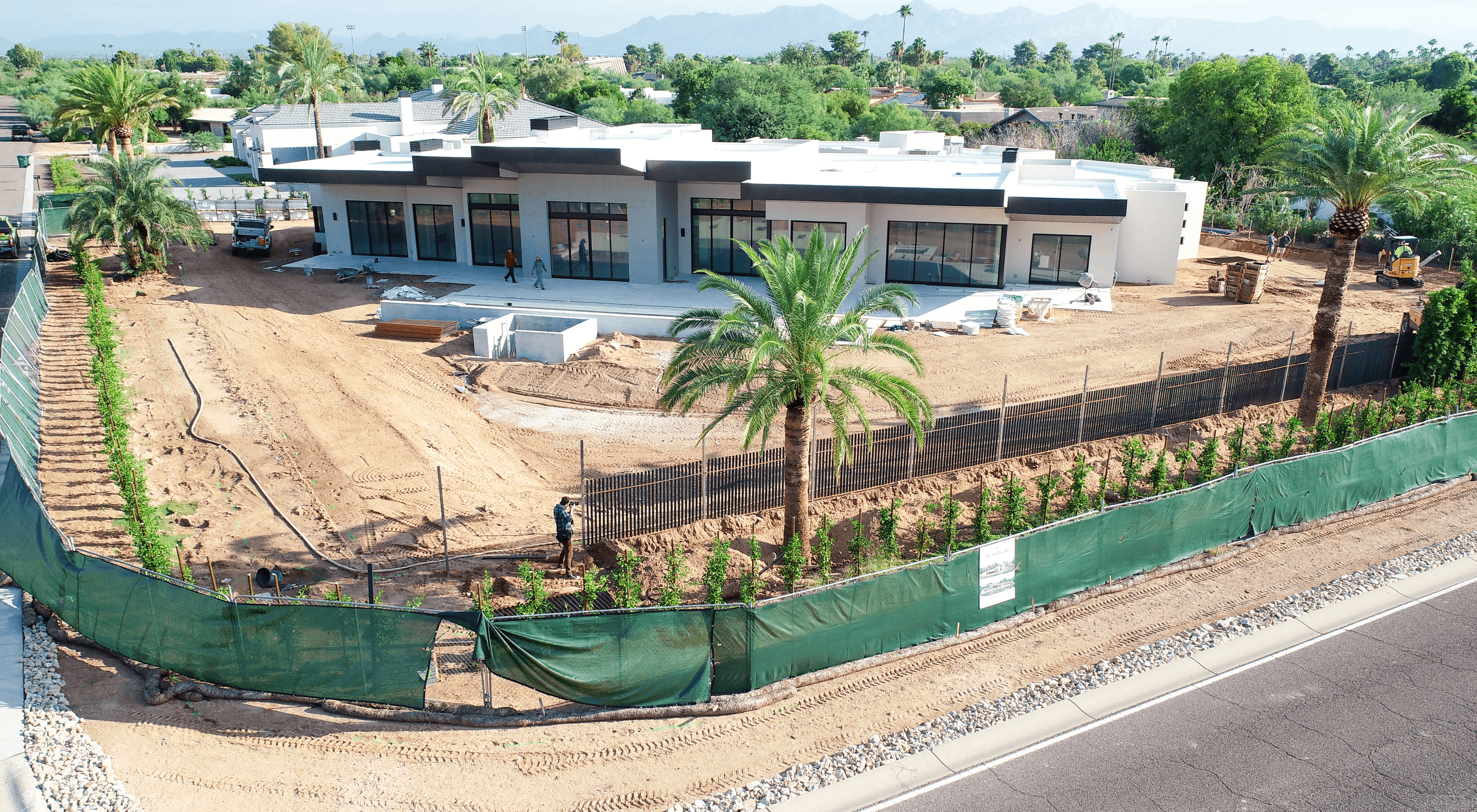 Before Ficus Hollywood Hedge Planting