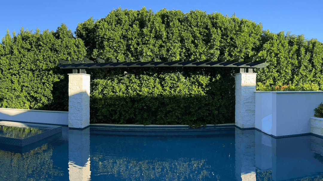 Pool Privacy After