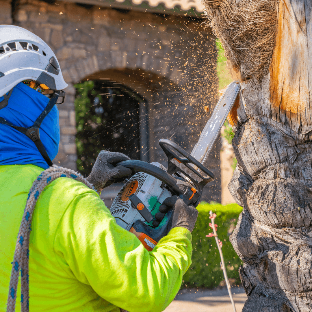 Moon Valley Nurseries Tree Care Services