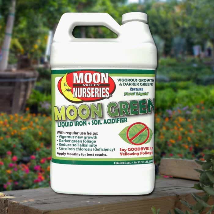 Image of Moon Green